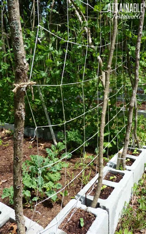 diy garden stakes|how to build a trellis for vines.